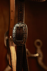 Single Ear Headstall w/ JWP Concho - #3