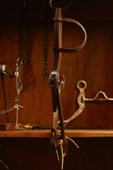 Single Ear Headstall w/ JWP Concho - #3