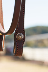 Headstall w/ Brooks Conchos & Buckles - Dark Oil #30