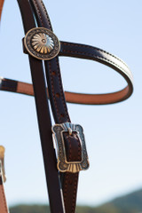 Headstall w/ Brooks Conchos & Buckles - Dark Oil #30