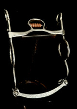 Horlacher & Marsh Bit - Circle Cheek w/Copper Roller (no hood) 