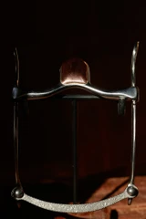 Horlacher & Marsh Bit - Nevada Cheek w/ Mona Lisa (w/hood)