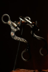 Daisy Correctional Bit