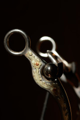 Medium Port Bit w/ Floral Trim