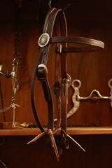 Work Headstall w/ JWP Round Conchos - Dark Oil #34 package