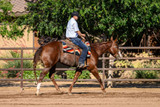 The Kirchenschlager - Cuttinup Saddle Blanket 32" x 38"