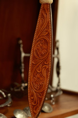 Bridle Setup - Headstall, Bit, Curb & Romal Reins