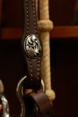 Bridle Setup - Headstall, Bit, Curb & Romal Reins