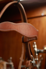 Miles City Headstall with conchos