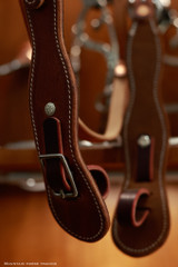Miles City Headstall w/out conchos