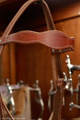 Miles City Headstall w/out conchos