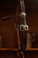 Headstall w/ Brooks Conchos & Buckles - Dark Oil 50B