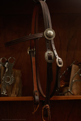 Headstall w/ Brooks Conchos & Buckles - Dark Oil 50A