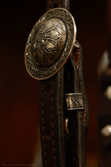 Single Ear Headstall w/ Brooks Conchos & Spoon Hangers 22C - SOLD