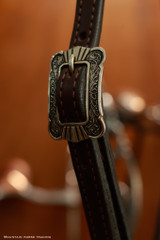 Single Ear Headstall w/ Brooks Buckle & Concho ends - KT22E
