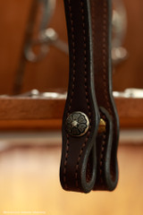 Single Ear Headstall w/ Brooks Buckle & Concho ends - KT22E