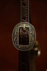Single Ear Headstall w/ Brooks Conchos (tie ends) 22F*
