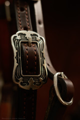 Headstall w/ JWP Concho - #22J*