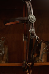Headstall w/ JWP Concho - #22J*