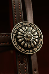 Headstall w/ JWP Concho - #22J*