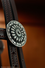 Headstall w/ JWP Concho - #22J