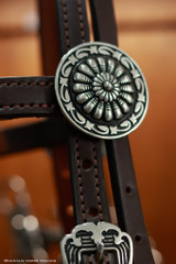 Headstall w/ JWP Concho - #22J
