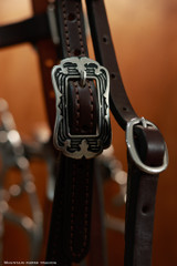 Headstall w/ JWP Concho - #22J