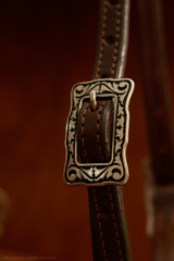 Single Ear Headstall w/ JWP Concho - #22B*