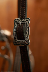 Single Ear Headstall w/ JWP Buckle, tie ends - KT22B