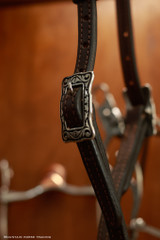 Single Ear Headstall w/ JWP Buckle, tie ends - KT22B