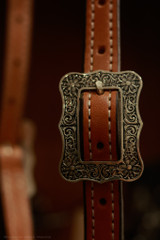 Single Ear Headstall w/ Brooks conchos #31A