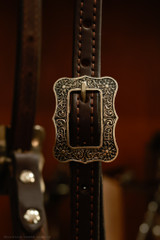 Single Ear Headstall w/ Brooks Conchos & Spoon Hangers #22D