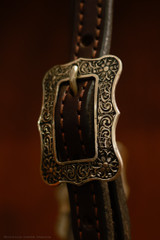 Single Ear Headstall w/ Brooks Conchos & Spoon Hangers #22D