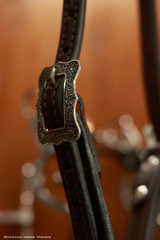 Single Ear Headstall w/ Brooks & spoon hanger - KT22D