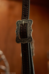 Single Ear Headstall w/ Brooks & spoon hanger - KT22D