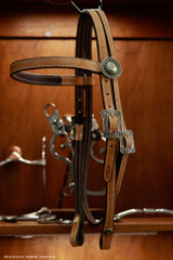 Browband Headstall w/ Brooks Concho ends - Tan KT60B
