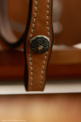 Browband Headstall w/ Brooks Concho ends - Tan KT60B