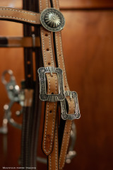 Browband Headstall w/ Brooks Concho ends - Tan KT60B