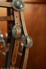 Browband Headstall w/ Brooks Concho ends - Tan KT60A