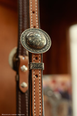 Single Ear Headstall w/ Brooks Concho Spoon ends #60D