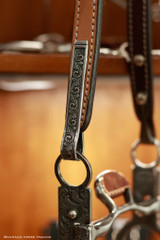 Single Ear Headstall w/ Brooks Concho Spoon ends #60D with Horlacher & Marsh  Circle bit