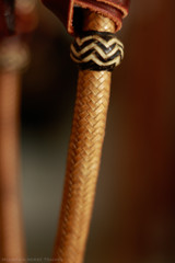 Hackamore 1/2" #18