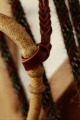 Hackamore 5/8" #J43