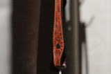 BB Single Split ear headstall - floral, dark oil, double & stitched