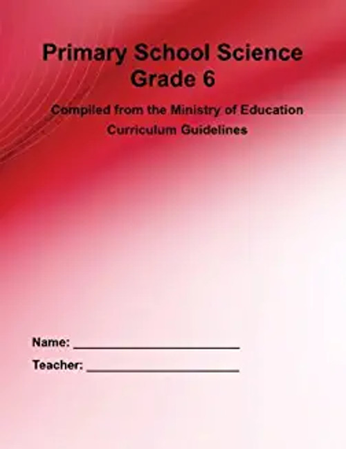 Primary School Science Workbook 6 (NET)