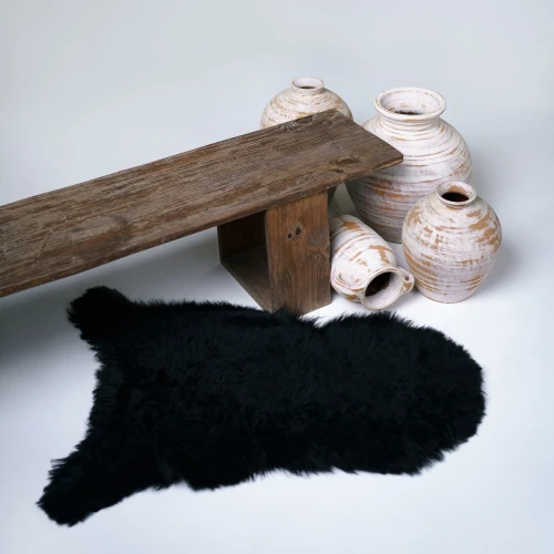rugs skin