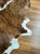 Brown and white cowhide rug on wooden floor, premium animal hide for home decor