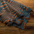 black and brown woven leather