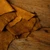 goat skin