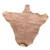 Brown leather kangaroo hide on a white background